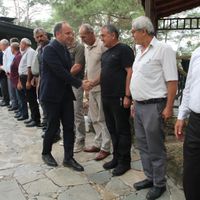 Genel