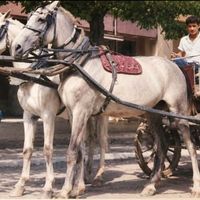 Osmaniye