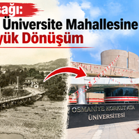 Özel
