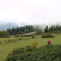 Doğa