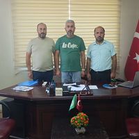 Hatay
