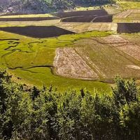 Doğa