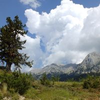 Doğa