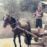 Özel