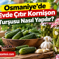 Yaşam