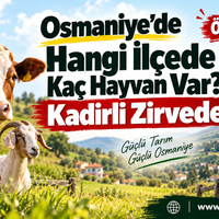 Özel