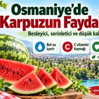 Sağlık