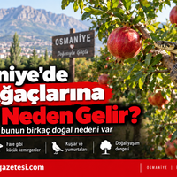 Osmaniye