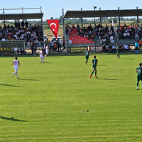Spor