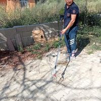 Hatay