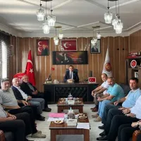 Düziçi