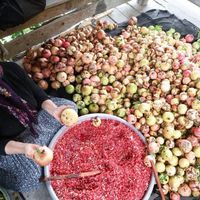 Osmaniye