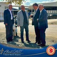 Genel