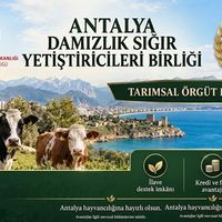 Antalya