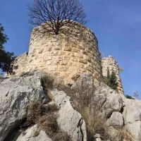 Doğa