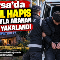 Bursa