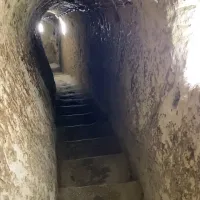 Doğa