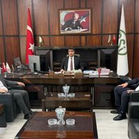 Düziçi