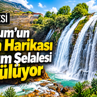 Doğa