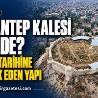 Doğa