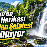 Doğa