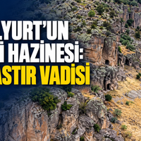 Doğa