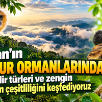 Doğa
