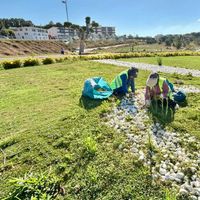 Hatay