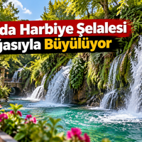 Doğa