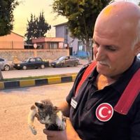 Hatay
