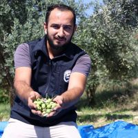 Hatay