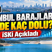 Yaşam