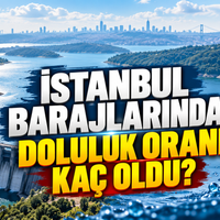 Yaşam