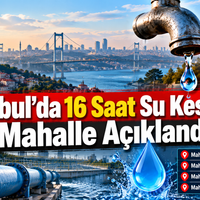 Yaşam