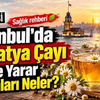 Sağlık