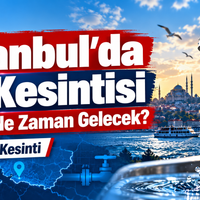 Yaşam