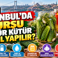 Yaşam