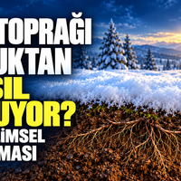 Yaşam