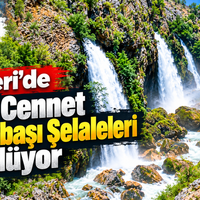 Doğa