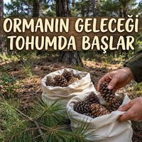 Doğa
