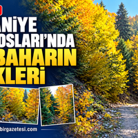 Osmaniye