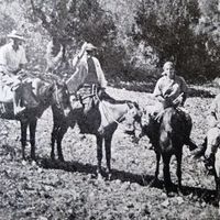 Osmaniye
