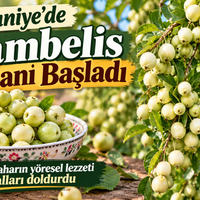 Osmaniye