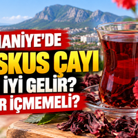 Sağlık