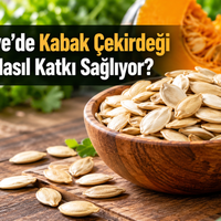 Sağlık