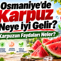 Sağlık