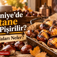 Yaşam