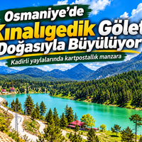 Doğa