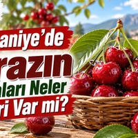 Sağlık