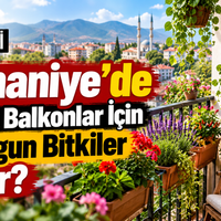 Yaşam